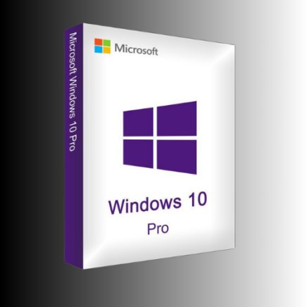 Microsoft Windows 10 Professional