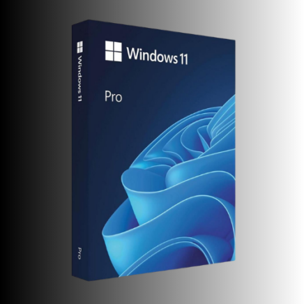 Microsoft Windows 11 Professional